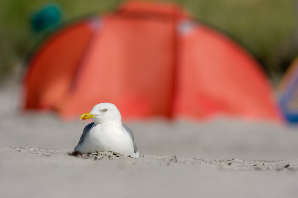 Strandurlaub