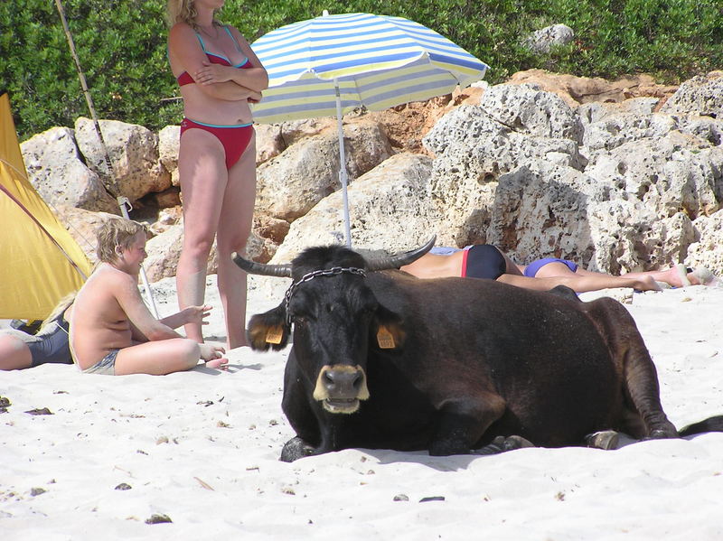 Strandurlaub auf Mallorca