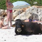 Strandurlaub auf Mallorca