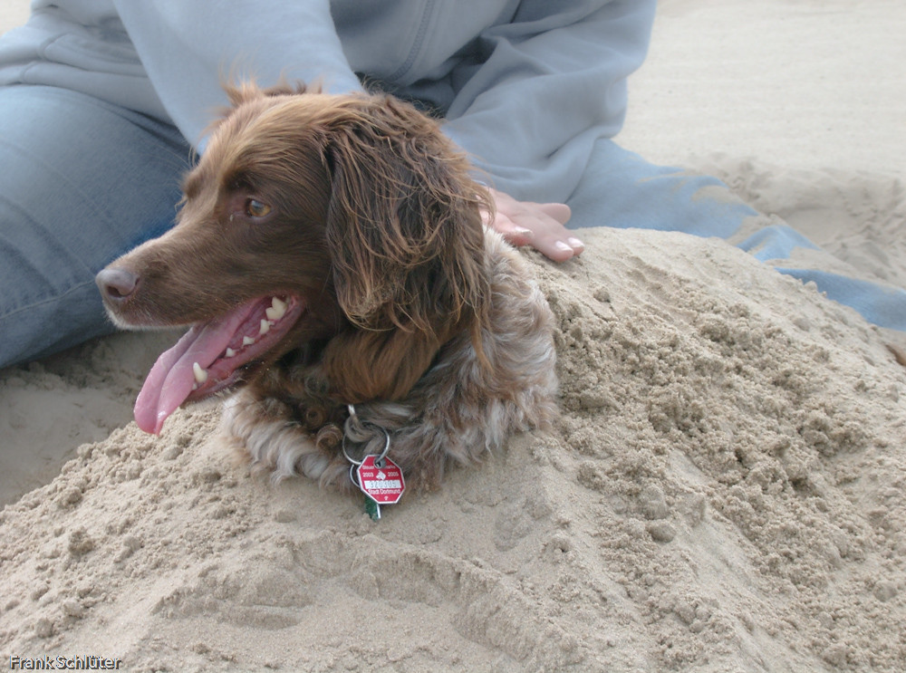 Strandurlaub