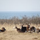 Strandurlaub im Winter