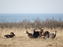 Strandurlaub im Winter