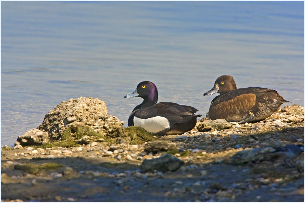 Strandvergnügen