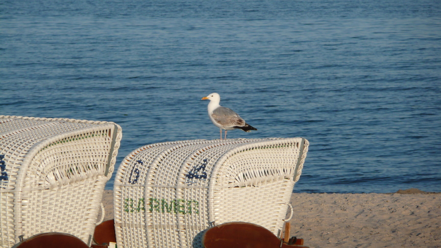 - Strandwache -