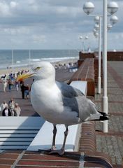 Strandwache