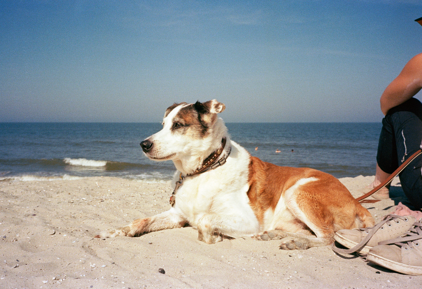 Strandwache