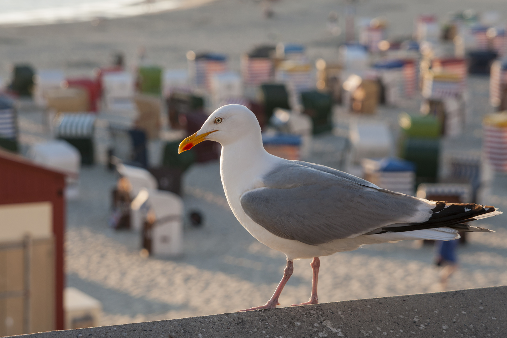 Strandwache