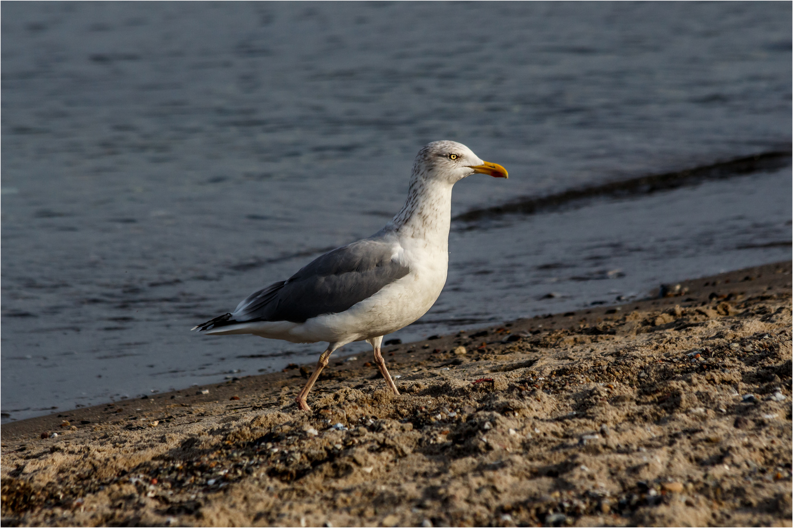 Strandwache