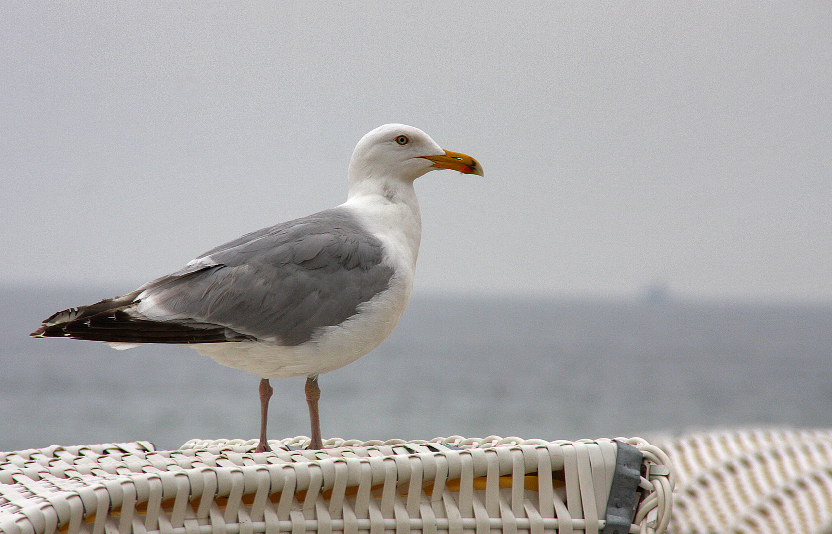 Strandwächter...