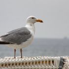 Strandwächter...