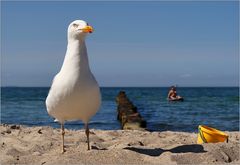 Strandwächter...
