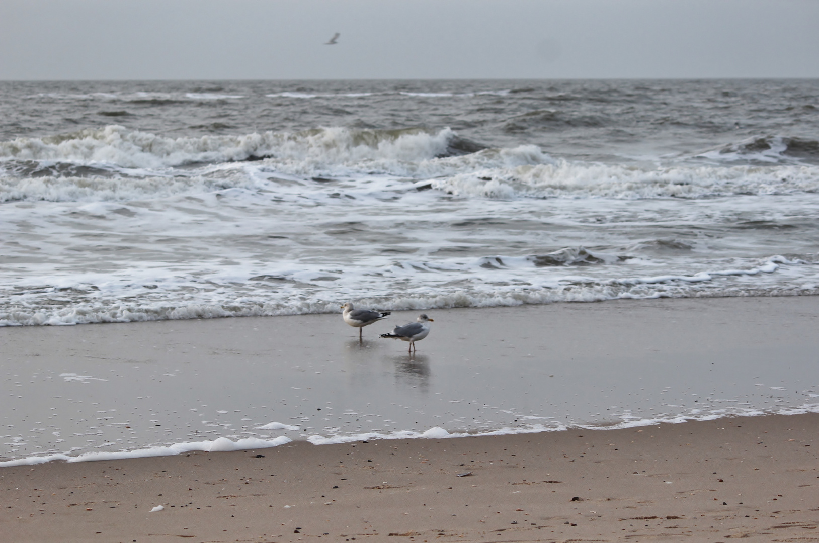 Strandwächter...