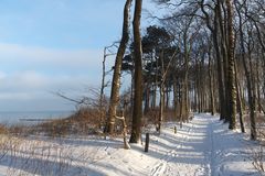 Strandwald