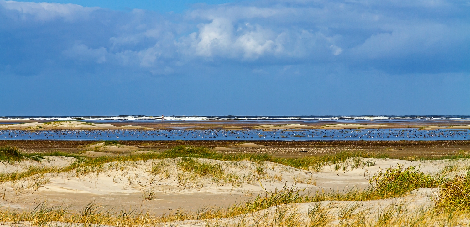 Strandwanderer