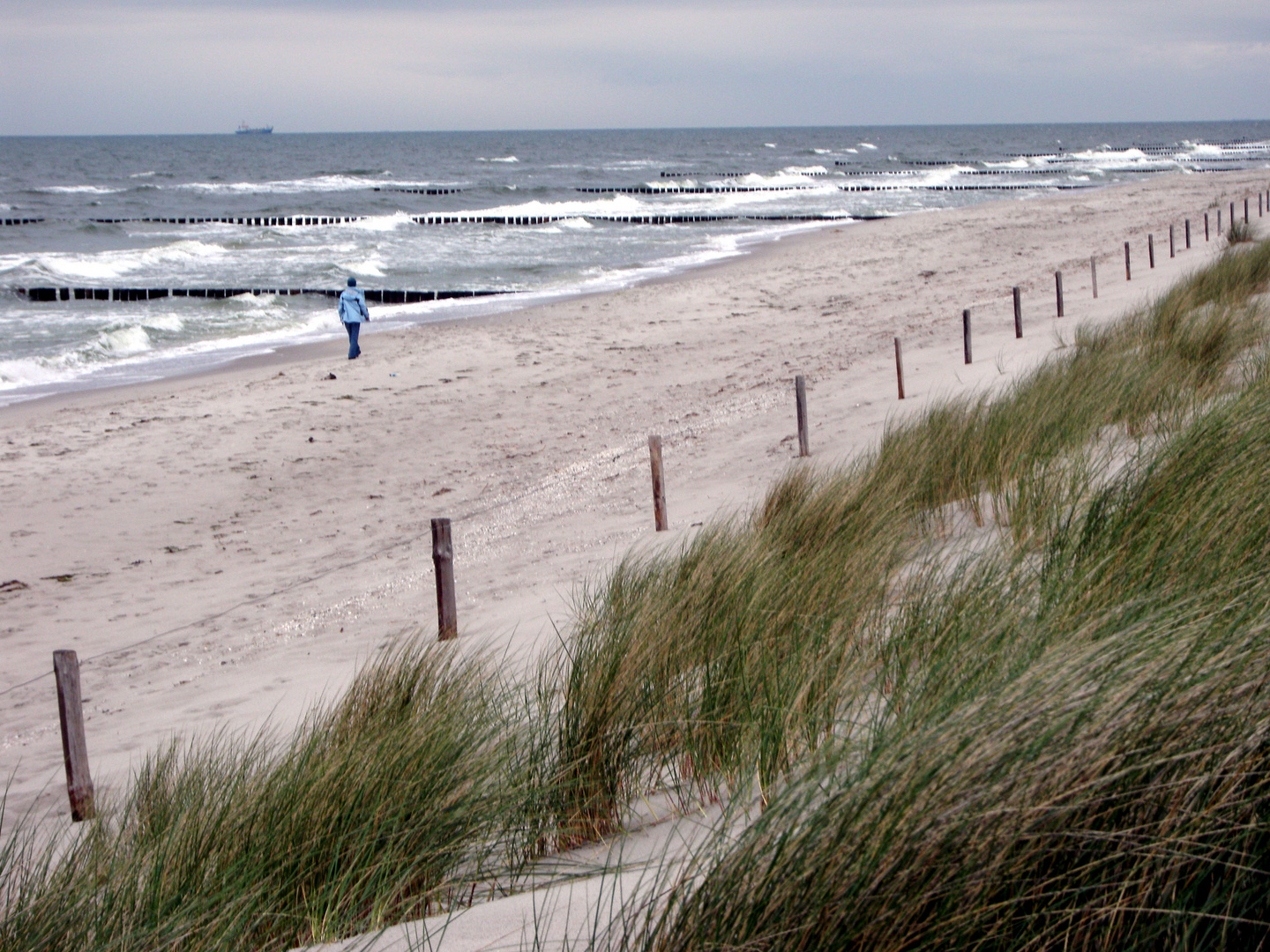 Strandwanderin