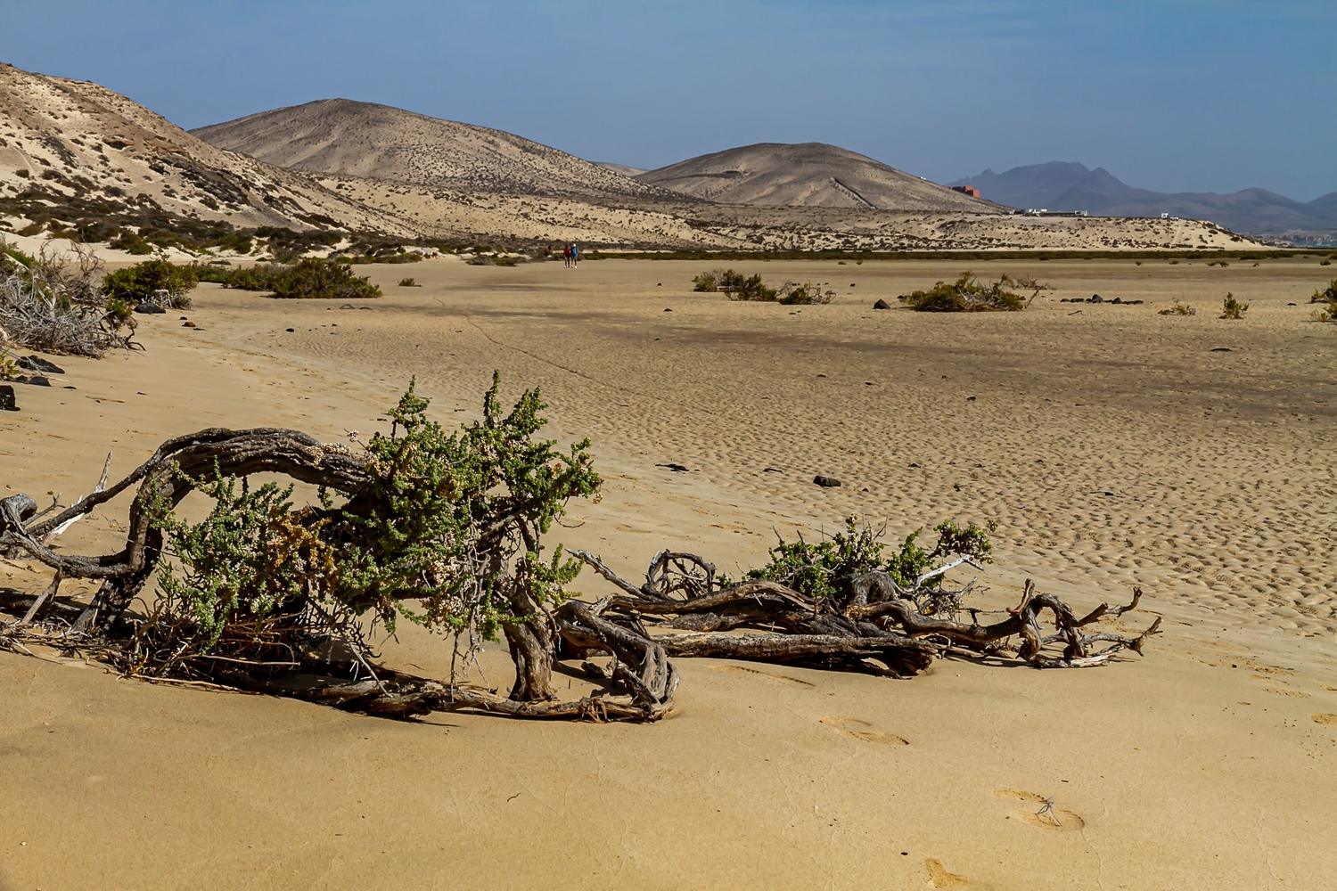 Strandwandern