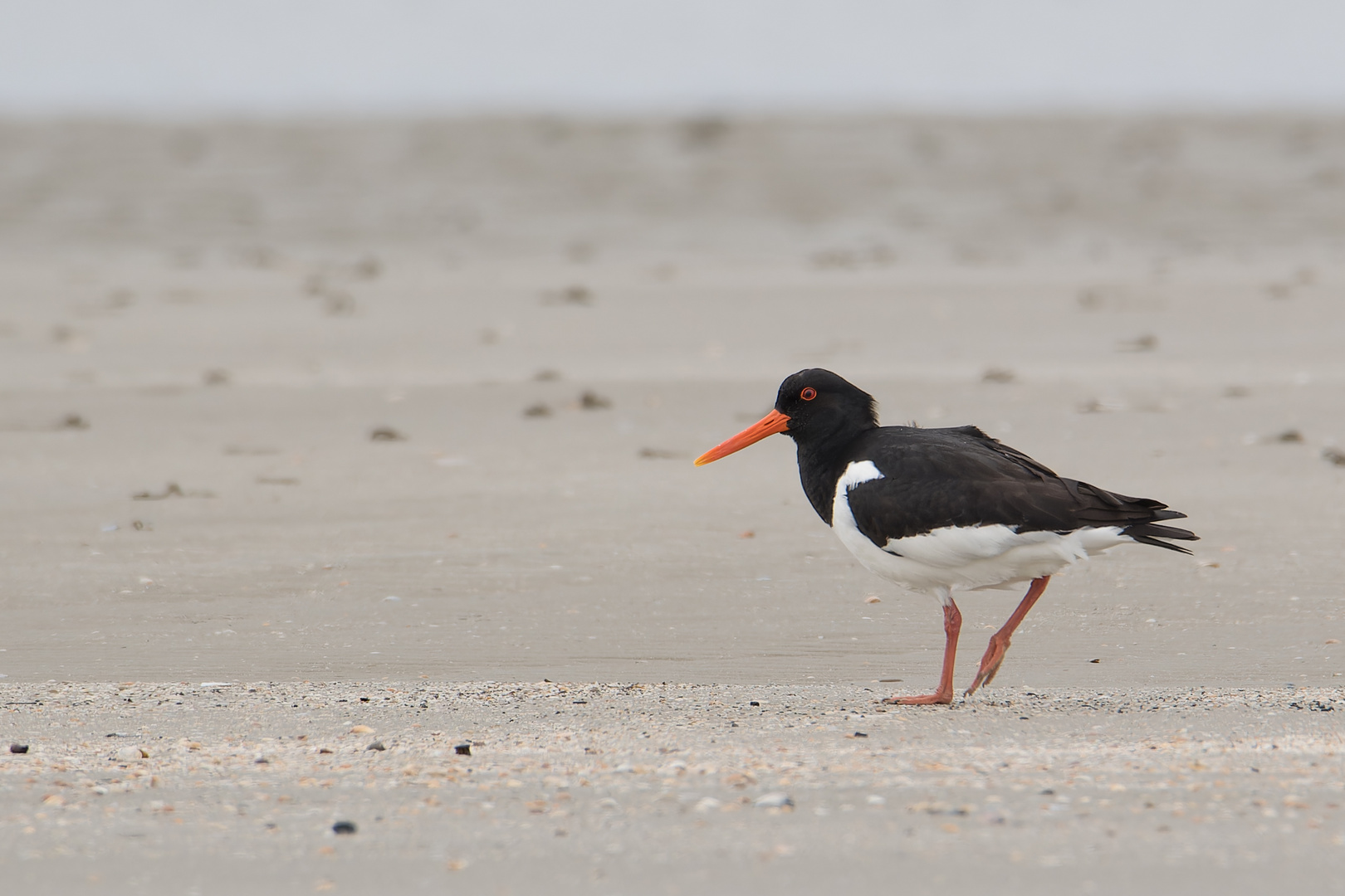 Strandwanderung