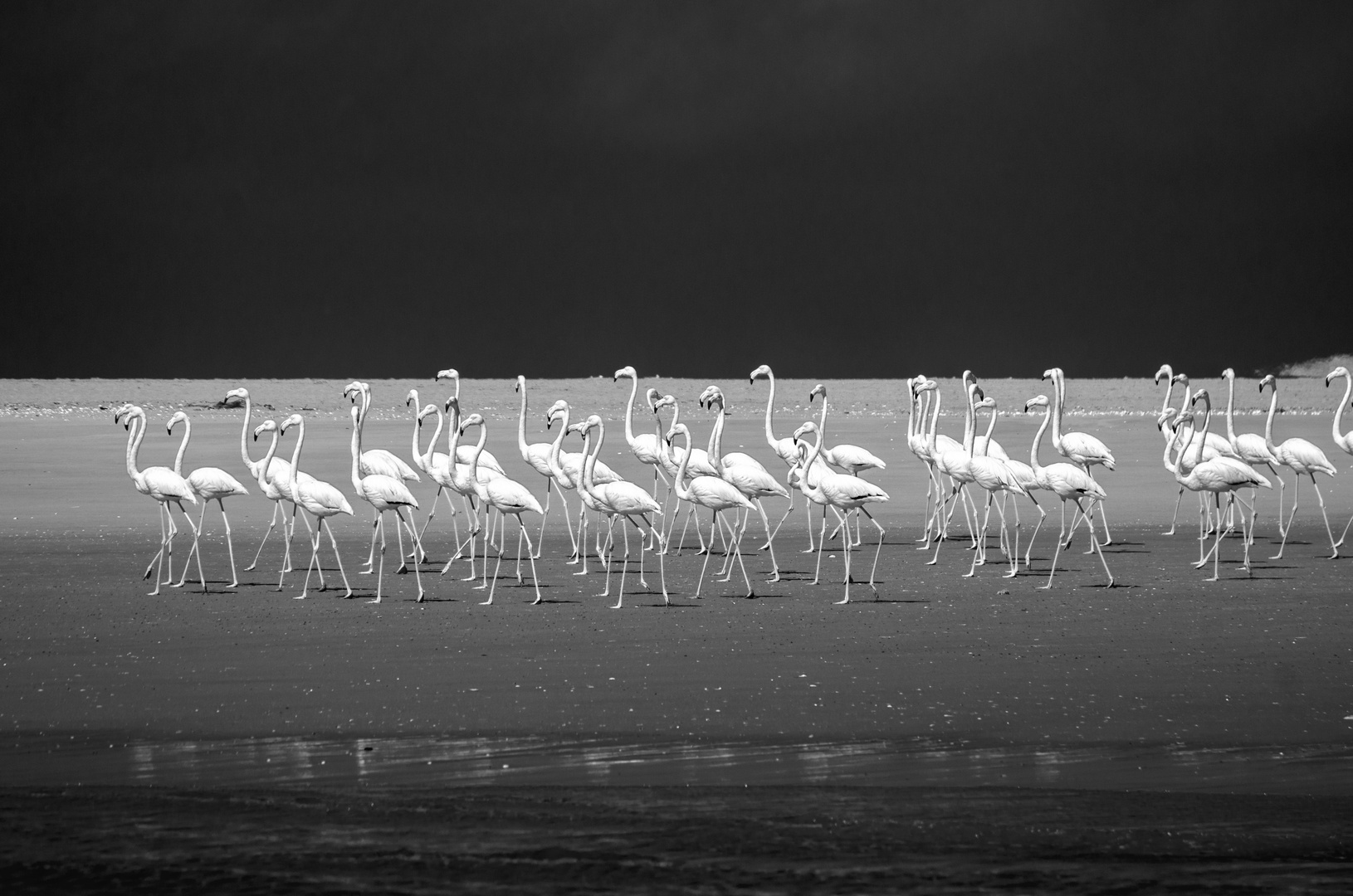 Strandwanderung