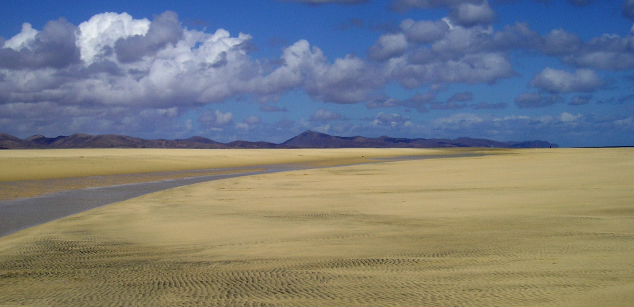 Strandwanderung - 3 -