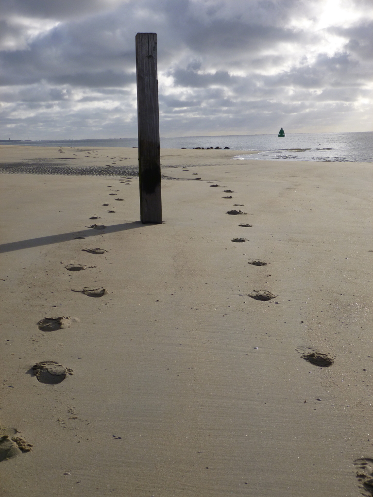 Strandwanderung auf Vlieland