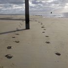 Strandwanderung auf Vlieland