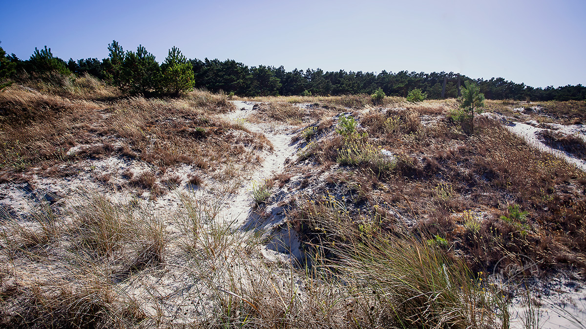 Strandwanderungen sind jederzeit erholsam