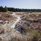 Strandwanderungen sind jederzeit erholsam