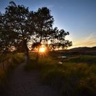 Strandweg im Abendlicht 