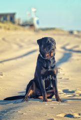 Strandweiler