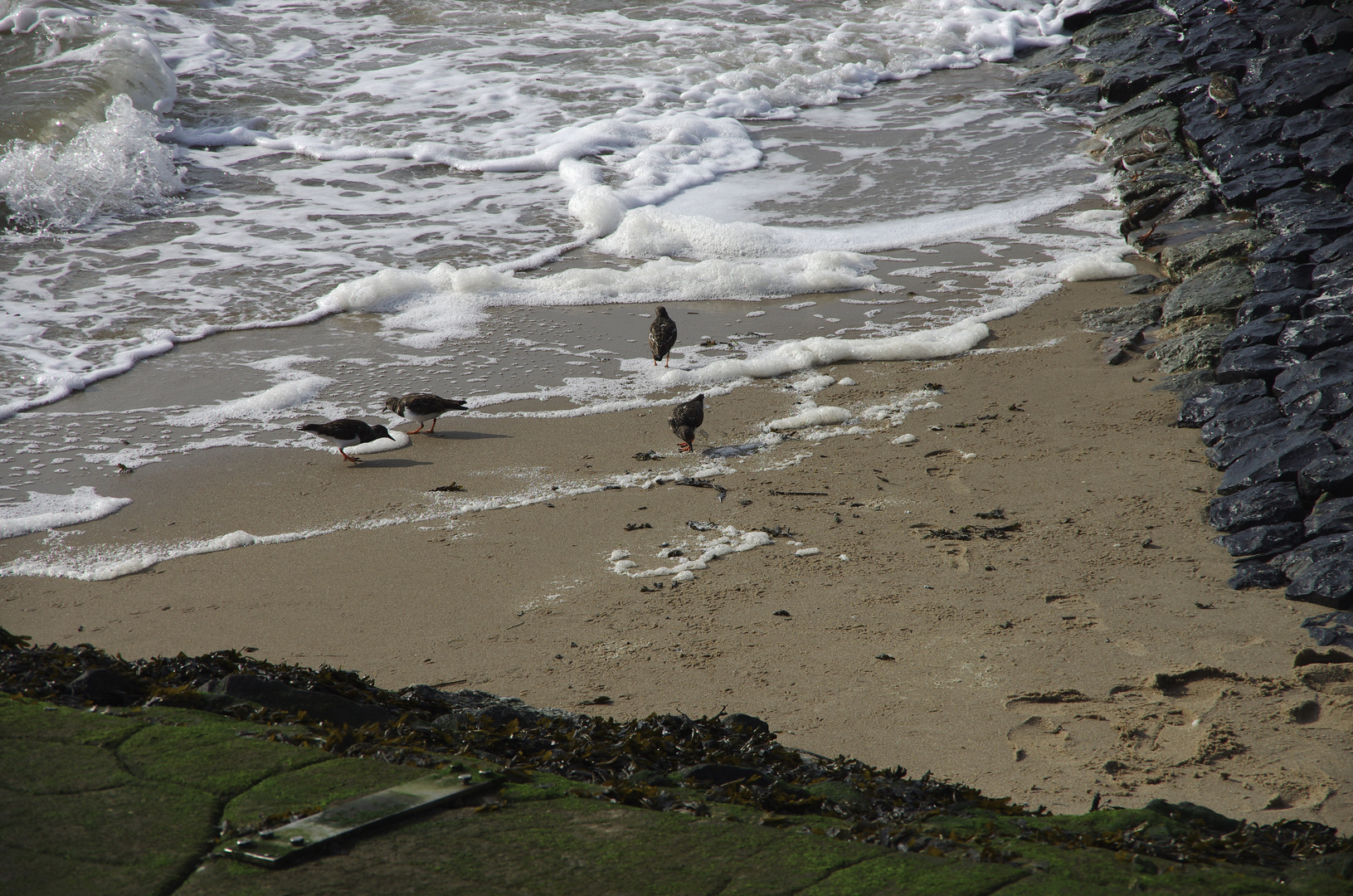 Strandwetter