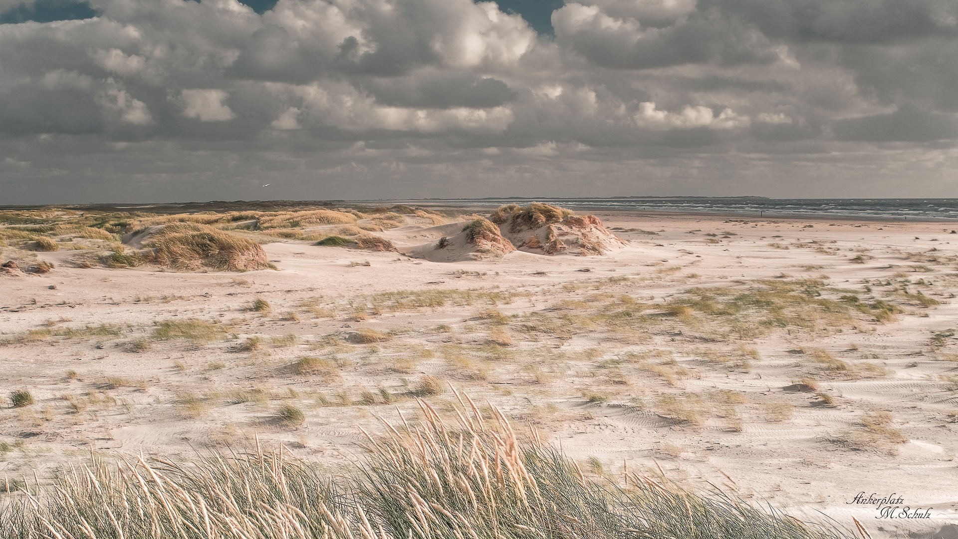 Strandwetter