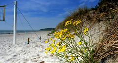 Strandwetter statt Überflutung in Germany