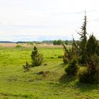 Strandwiesen am See Tåkern in Schweden