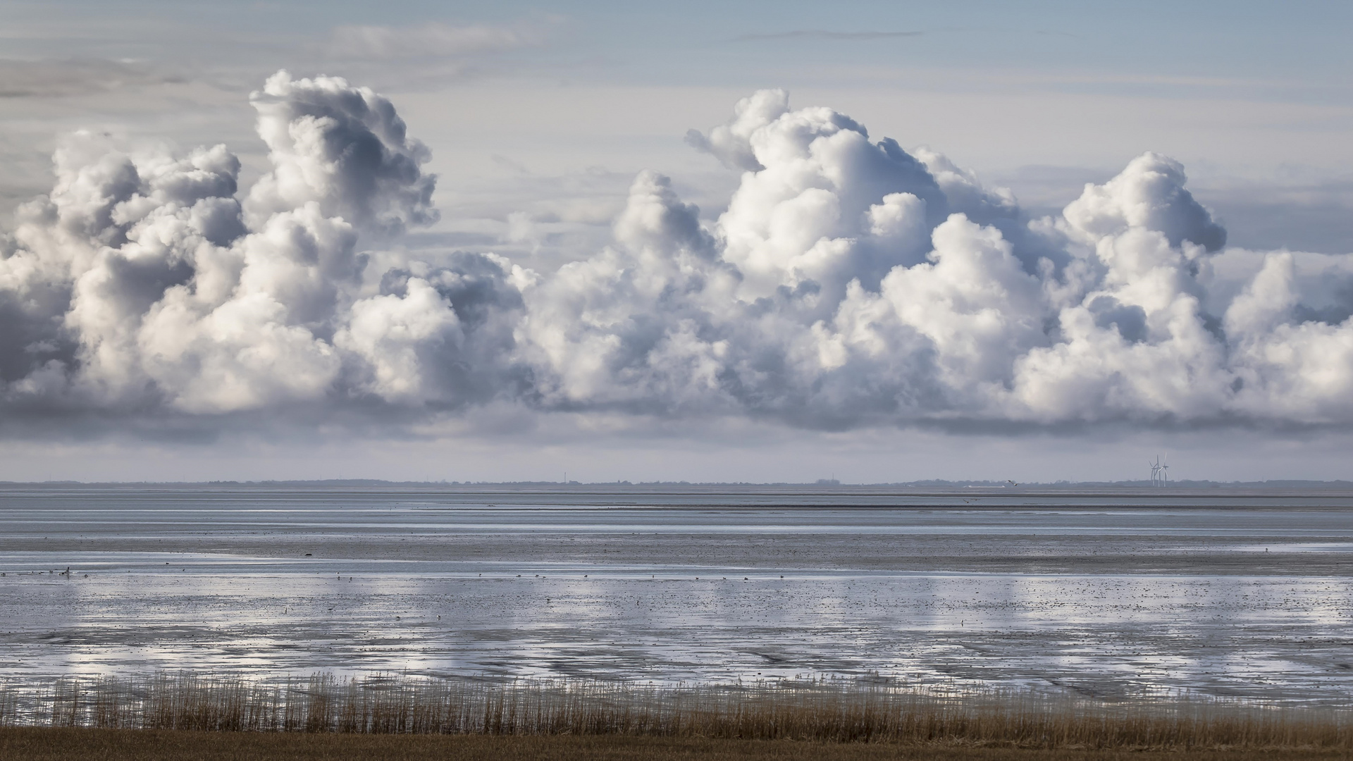 Strandwolken