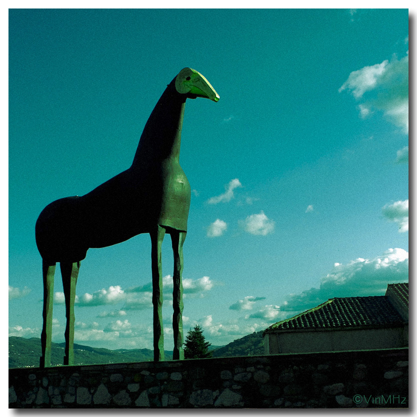 :: strange horse ::