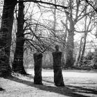 Strangers at the Botanical Garden