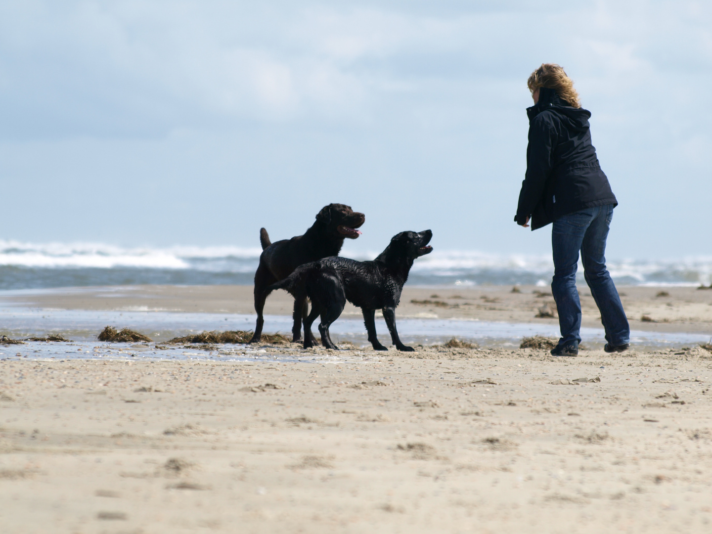 strangers on the beach