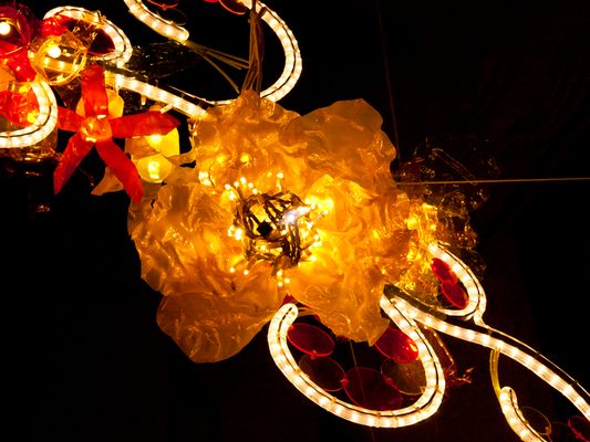 Strani fiori a Salerno