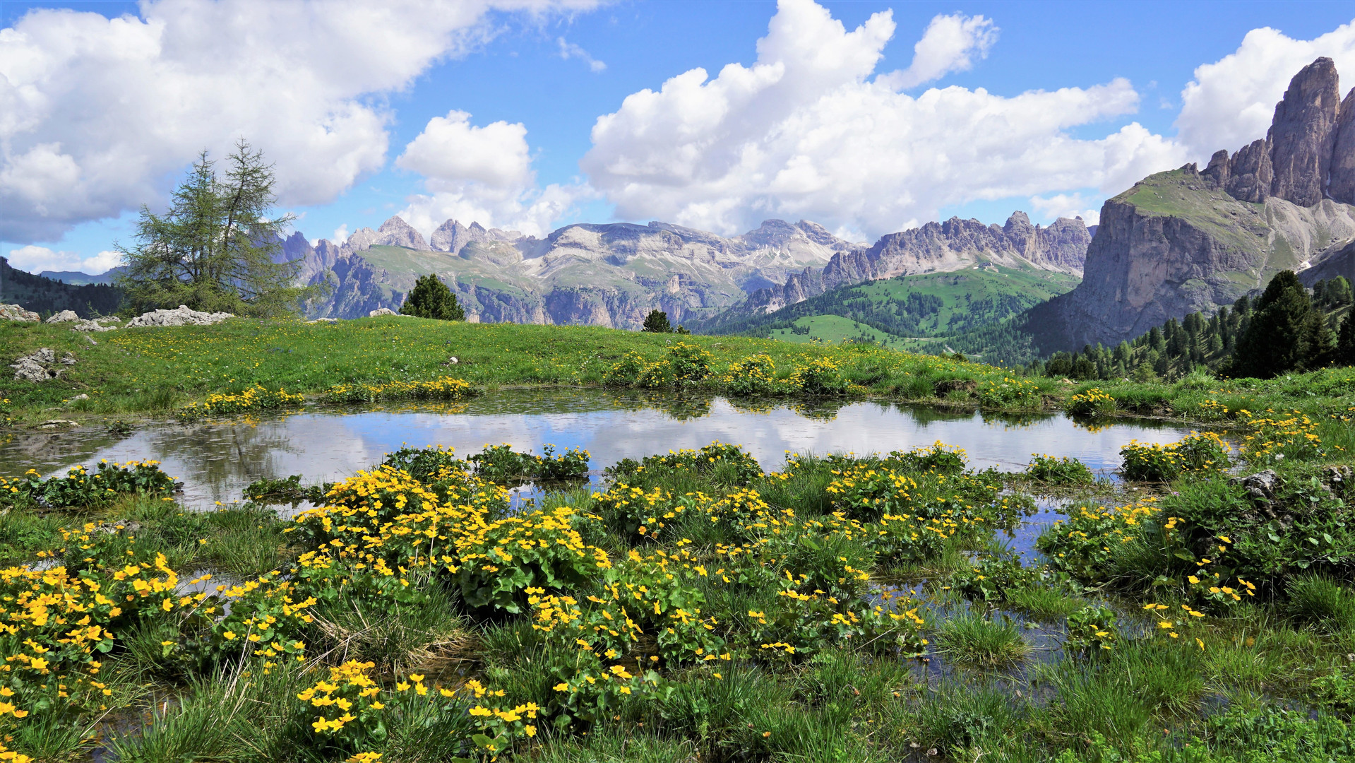 Straripante natura