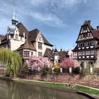 Strasbourg 8