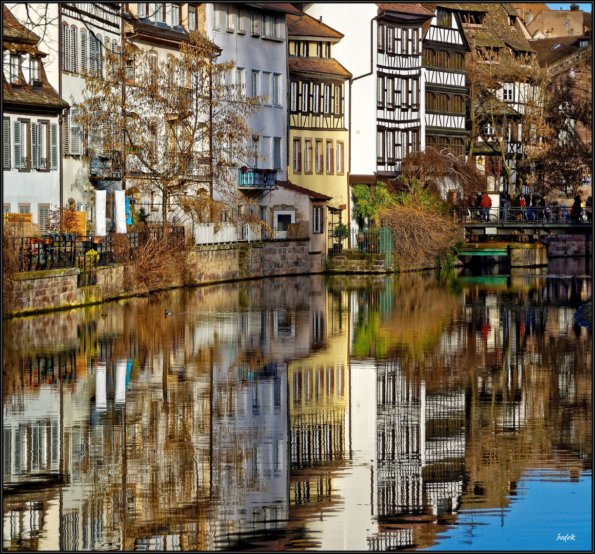 Strasbourg - alles gespiegelt,... außer die Enten..