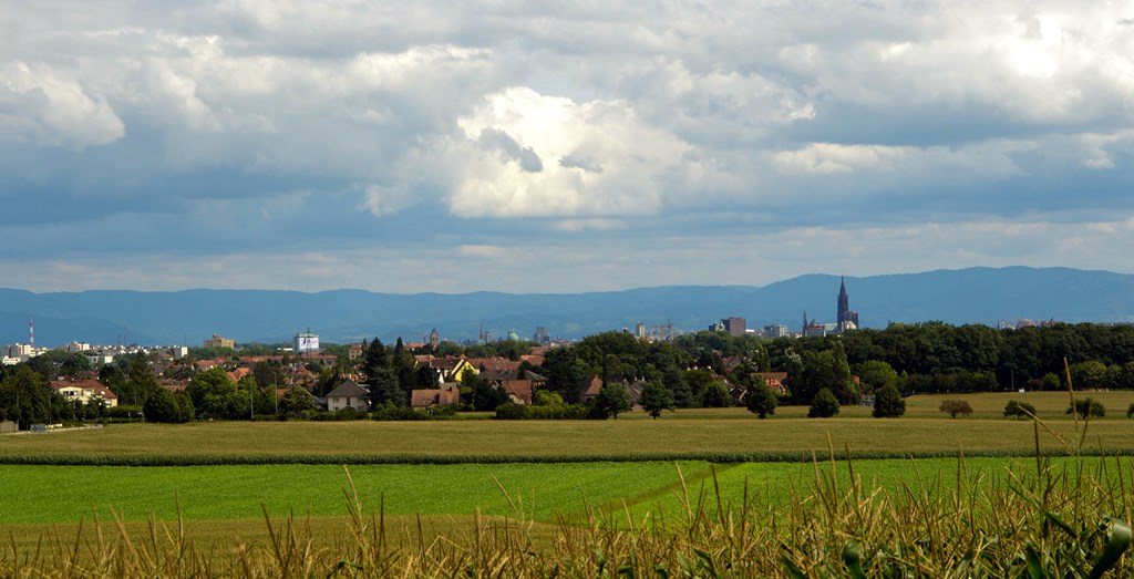 Strasbourg au loin...