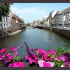 Strasbourg - Pont Saint-Nicolas - Ille