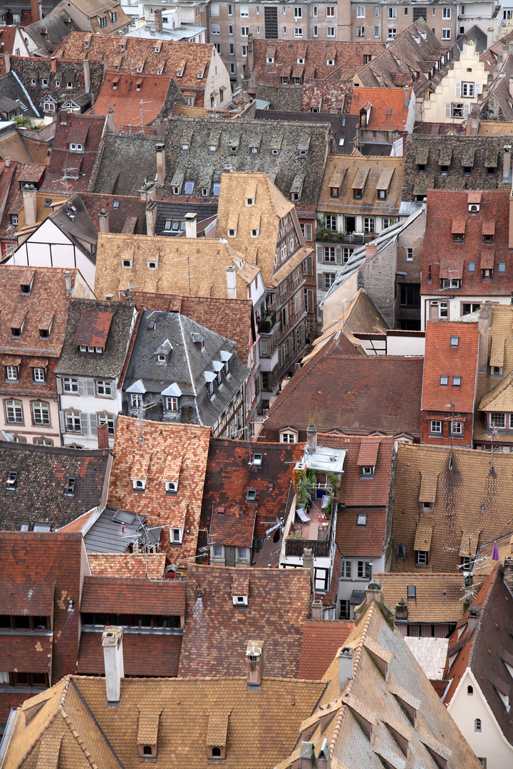 Strasbourg September 2013