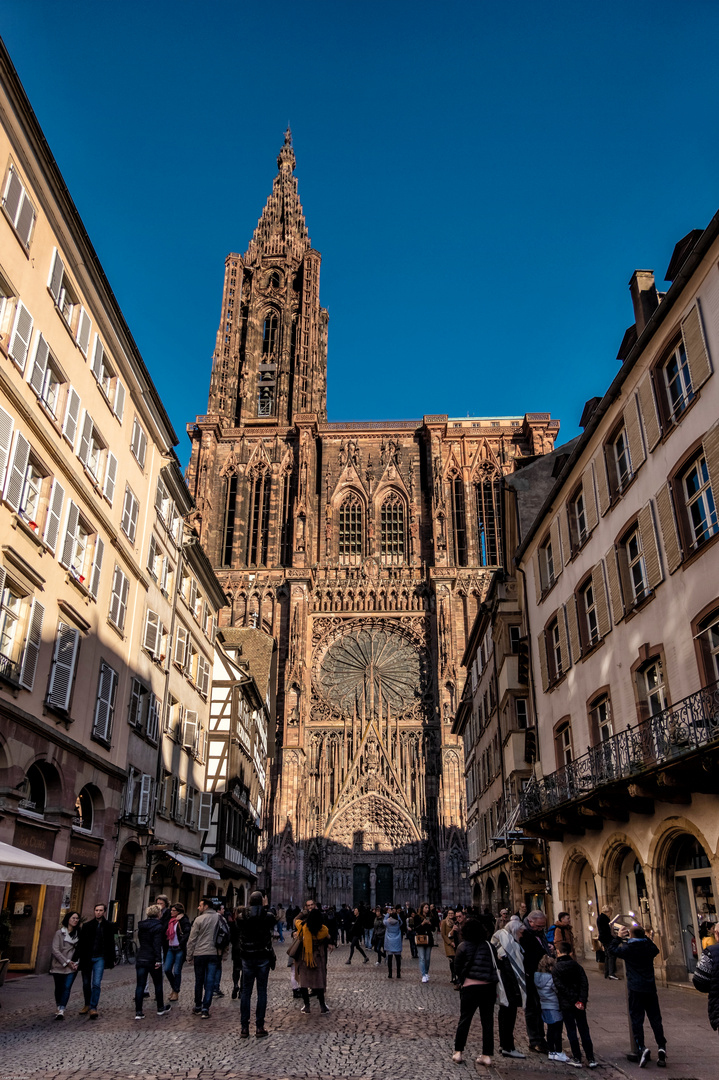 Straßburg am Münster 