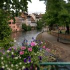 Strassburg am Wasser 
