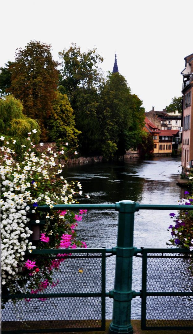 Strassburg Impressionen 21