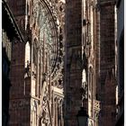 Straßburger Münster #1