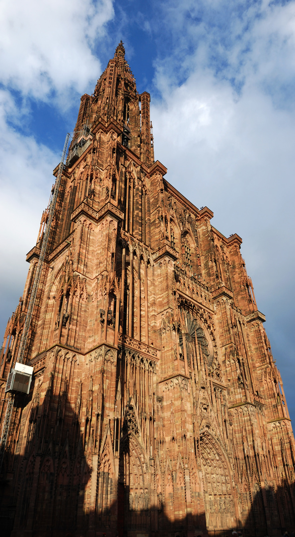 Strassburger Münster im Sonnenlicht