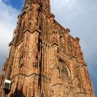 Strassburger Münster im Sonnenlicht
